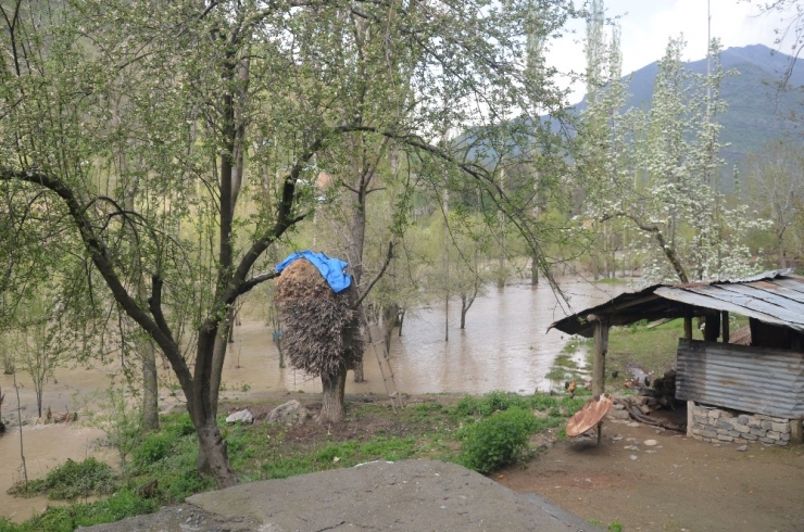 Sağanak Yağış Bahçeleri Su Altında Bıraktı