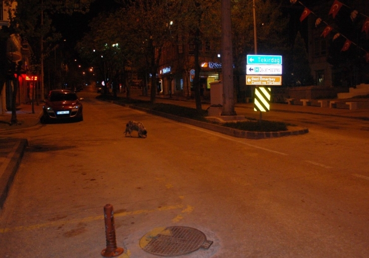 Sokağa Çıkma Kısıtlaması Başladı, Yollar Boş Kaldı