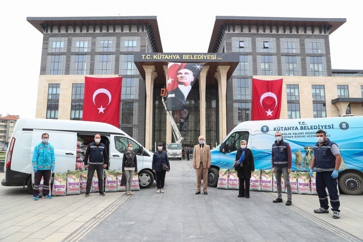 Sokak Hayvanlarına Yiyecek