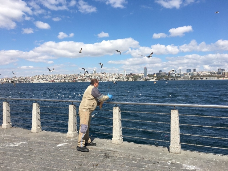 Üsküdar Belediyesi Ekipleri Kuşları Ve Sokak Hayvanlarını Elleriyle Besledi