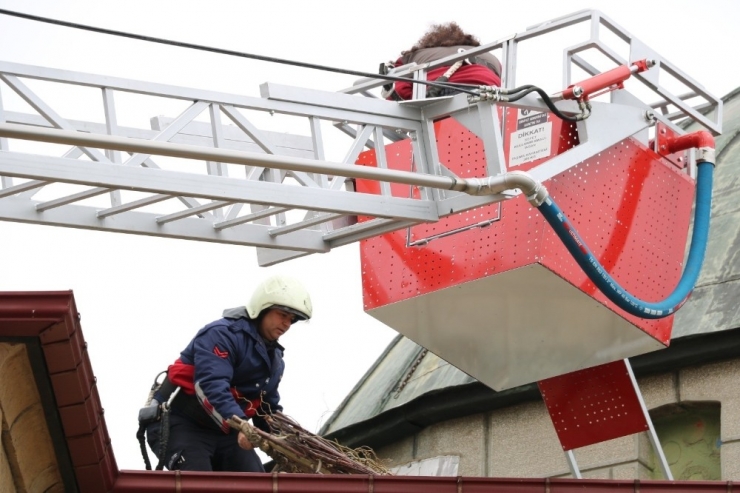 Yuvasız Kalan Leylek İçin Seferber Oldular