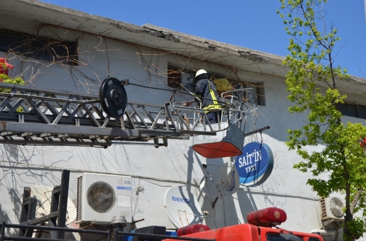 Çatıda Mahsur Kalan Kedi Kurtarıldı