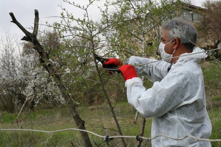 Vefa Ekipleri 80 Yaşındaki Çiftçinin Bahçesinde Budama Yaptı