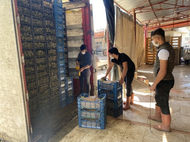 Korona Sürecinde Sarıcakaya’da Sebze İhracatı Devam Ediyor