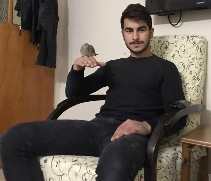 Manisalı Genç, Yaralı Kumruya Sahip Çıktı