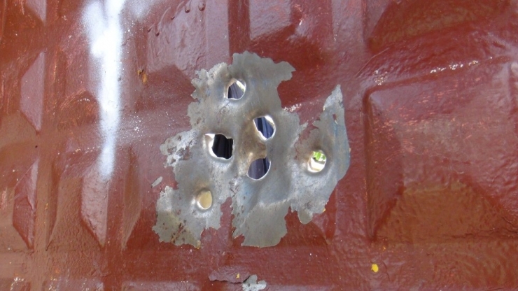 Kızıltepe’de Hayvan Otlatma Kavgası: 1 Ölü