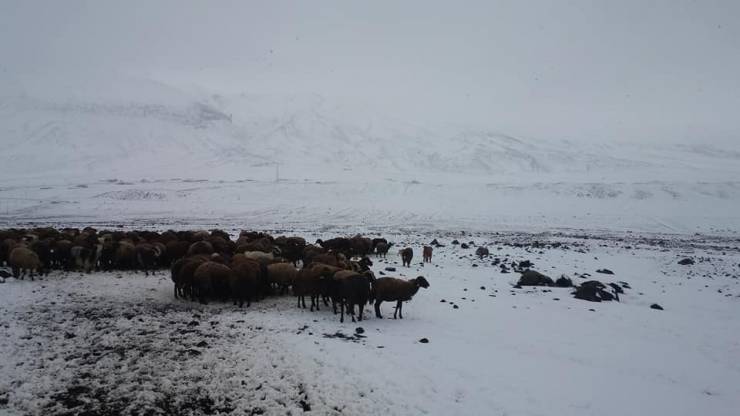 Iğdır’ın Yüksek Kesimlerine Nisan Ayında Kar Yağdı