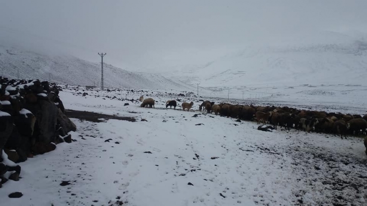 Iğdır’ın Yüksek Kesimlerine Nisan Ayında Kar Yağdı