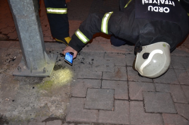 Köz Dolu Teneke Paniği