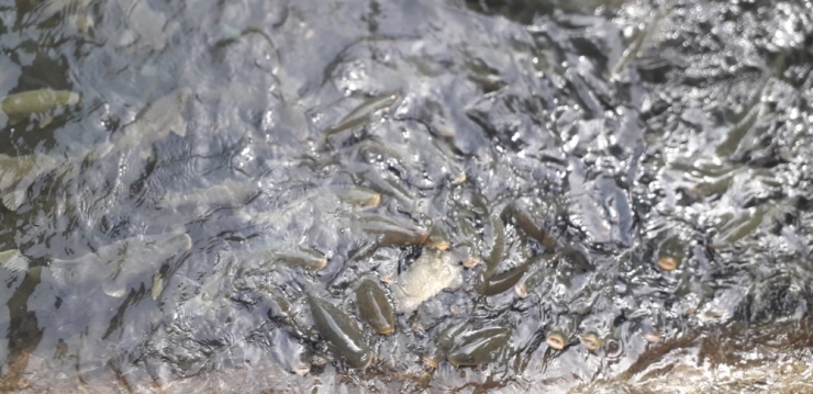 Peygamberler Şehrinde Hüzünlü Ramazan