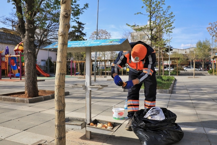Şehitkamil’deki Can Dostlar Unutulmuyor
