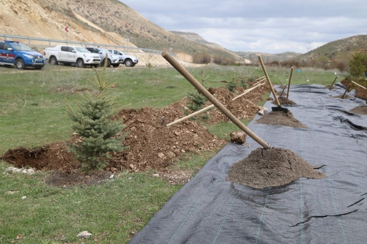 Doğan Her Bebek İçin Bir Fidan Dikilecek