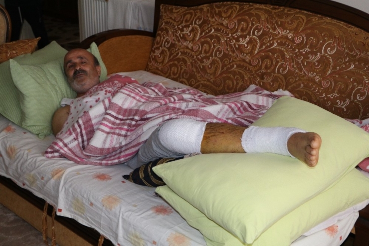 Ayağını Kırdı Ama Vazgeçmiyor