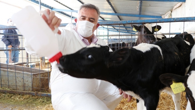 Aksaray’da Hayvan Üreticilerine Destek Ödemesi Yapıldı