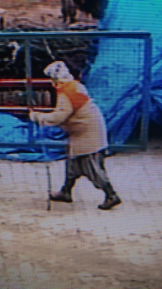 Nallıhan’da Kaybolan Yaşlı Kadın 70 Gündür Bulunamadı