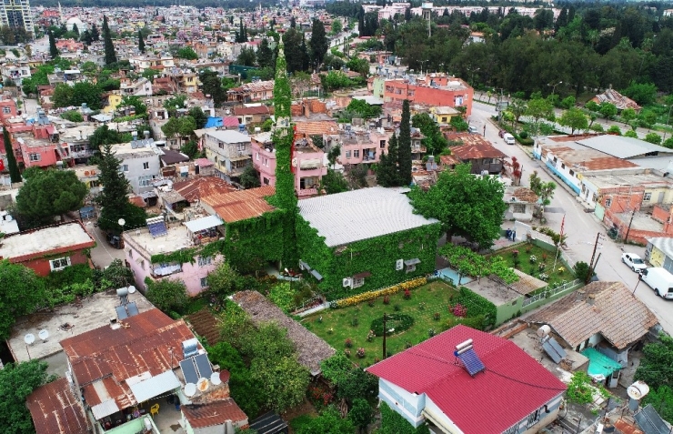 Etrafı Sarmaşıklara Kaplanan Yeşil Cami İle Cemaat Arasına Korona Virüs Girdi