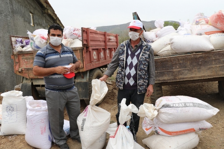 Bermaz Ovası’nda "Gezin Fasulyesi" İçin Tohum Desteği