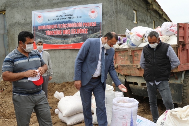 Bermaz Ovası’nda "Gezin Fasulyesi" İçin Tohum Desteği