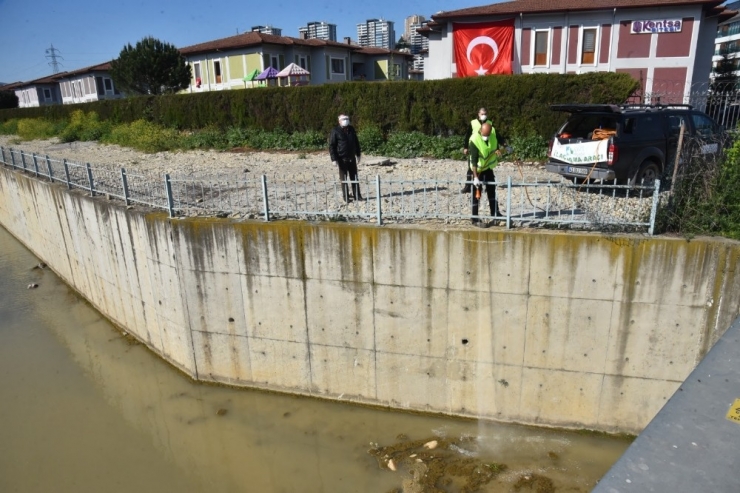 İzmit Belediyesi Sivrisineklere Karşı Mücadele Başlattı