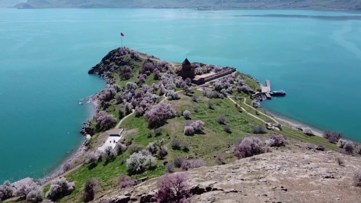 Ziyaretçisiz Kalan Akdamar Adası Badem Çiçekleri İle Görsel Bir Güzellik Sunuyor