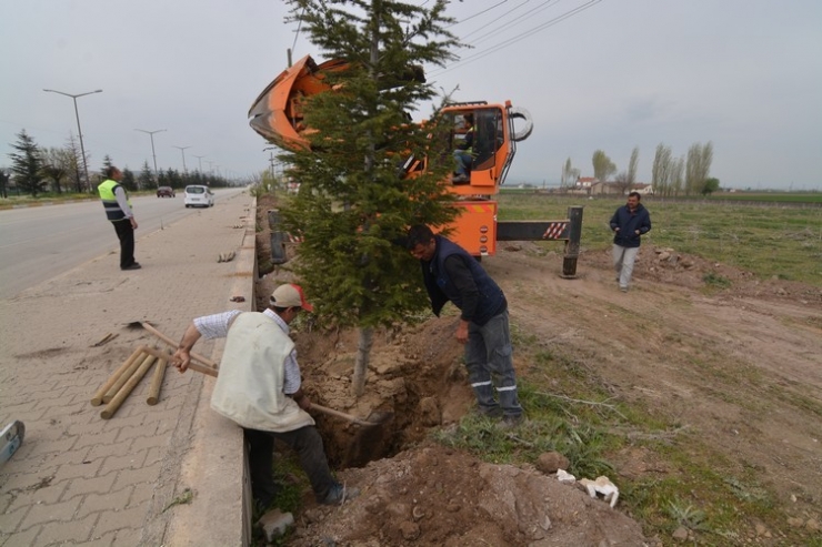 Sandıklı Çiçeklerle Donatıldı