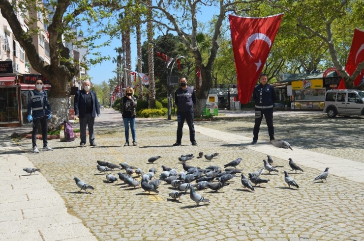 Ünlü Tatil Merkezinde Sokak Hayvanları Aç Kalmasın Diye Çabalıyorlar