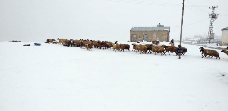 Van’da Nisan Ayında Kar Sürprizi