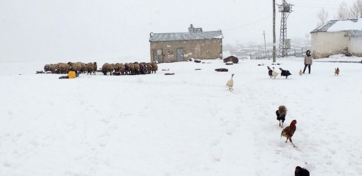 Van’da Nisan Ayında Kar Sürprizi