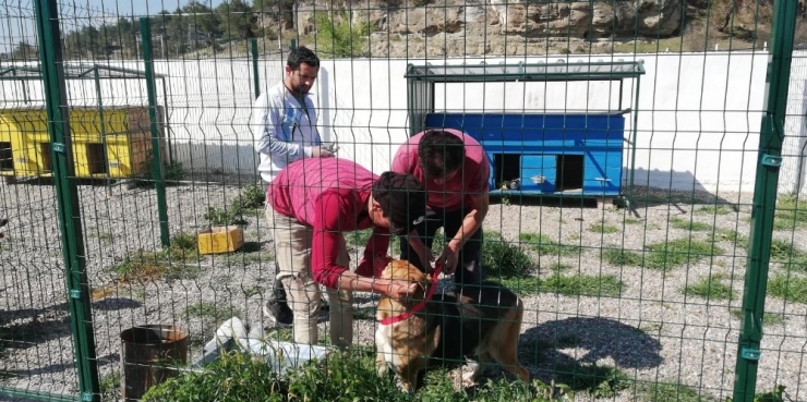 Türkiye’nin Her Yerine Uzanan Dost Eli