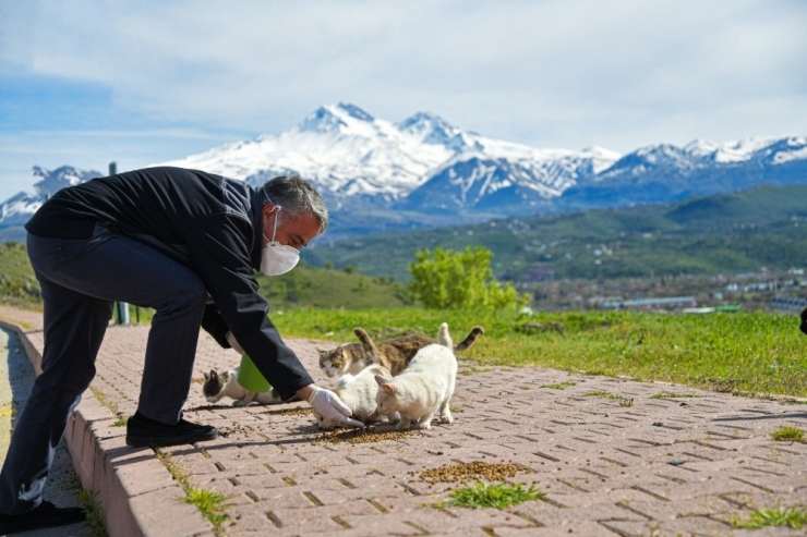 Tarım İl Müdürlüğü Sokak Hayvanlarını Unutmadı