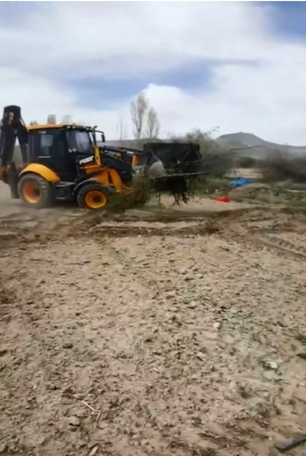 Kayserili Çiftçi 200 Kayısı Ağacını Don Vurunca Söktürdü