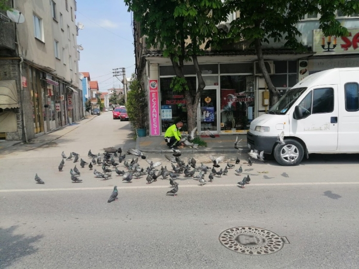 Boş Sokaklarda Yiyecek Bulmakta Zorlanan Kuşları Görevli Trafik Polisi Besledi