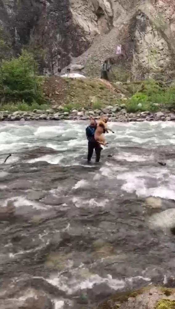 Fırtına Deresi’nde Zabıtadan Köpek Kurtarma Operasyonu