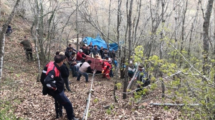 Uçurumdan Yuvarlanan İnek İtfaiye Tarafından Kurtarıldı