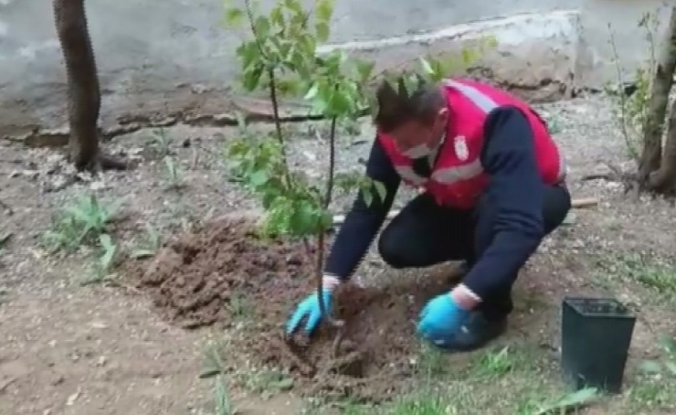 Evinden Çıkamayan Yaşlı Kadın Sosyal Destek Grubundan Fidan İstedi