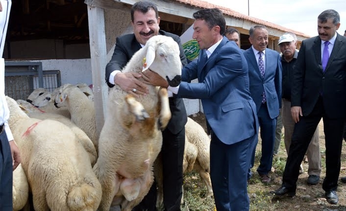 Covid -19’a Karşı "Kuzu Eti" Önerisi