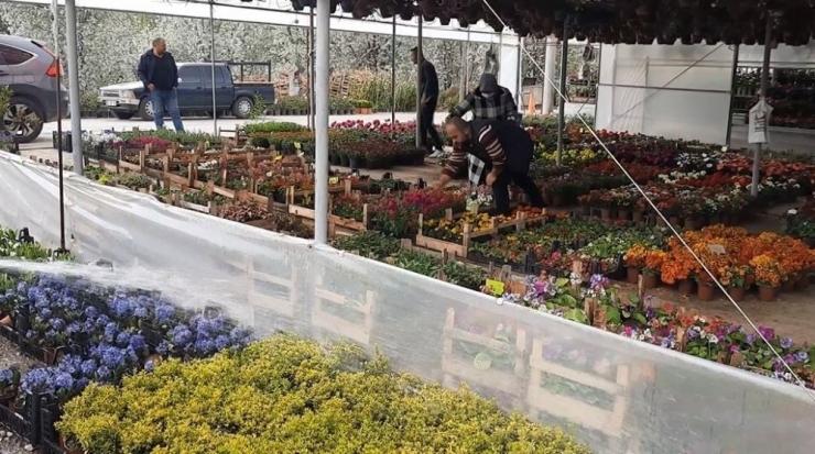 Covid-19 Salgını Çiçeklere Olan İlgiyi Artırdı