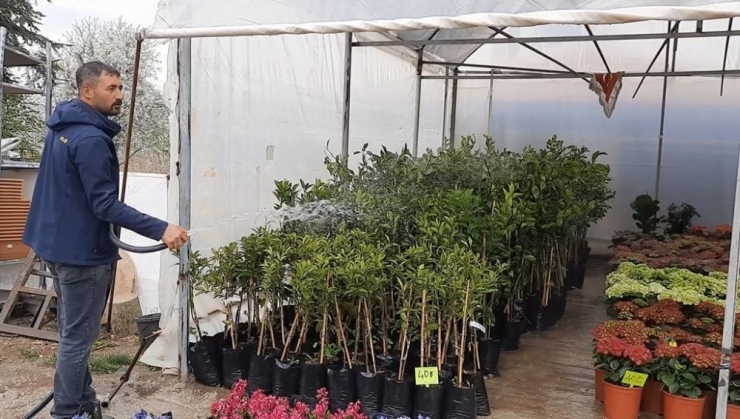 Covid-19 Salgını Çiçeklere Olan İlgiyi Artırdı