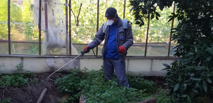 Büyükşehir Demre’yi Yaza Hazırlıyor