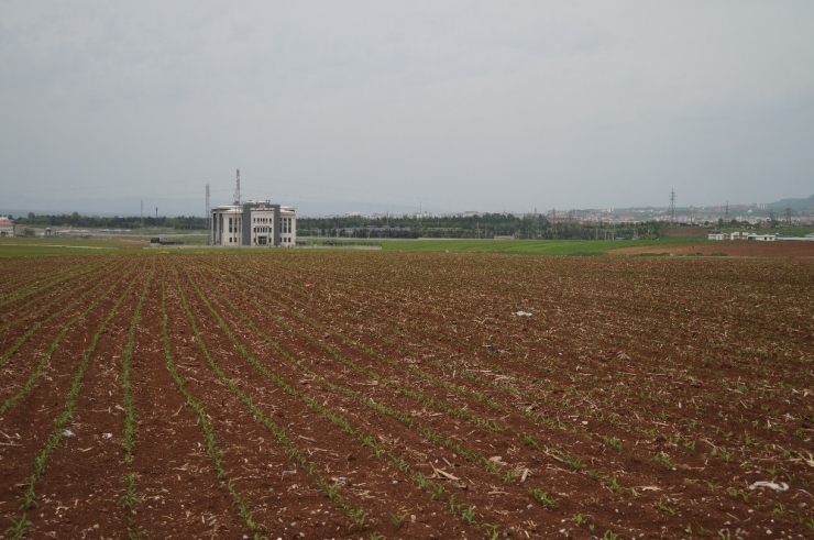 Batman’a 300 Milyon Liralık 500 Yataklı Hastane Yapılacak