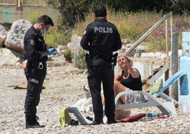 Bodrum’da Sahilde Sere Serpe Güneşlenirken Yakalandı