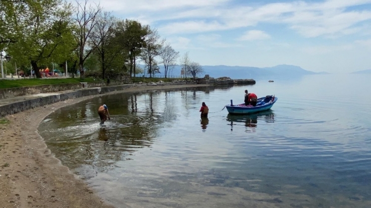 İznik Gölünde Gümüş Balığı Bereketi