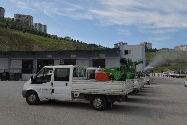 Çiğli Belediyesi Sivrisinekle Mücadeleye Hız Verdi