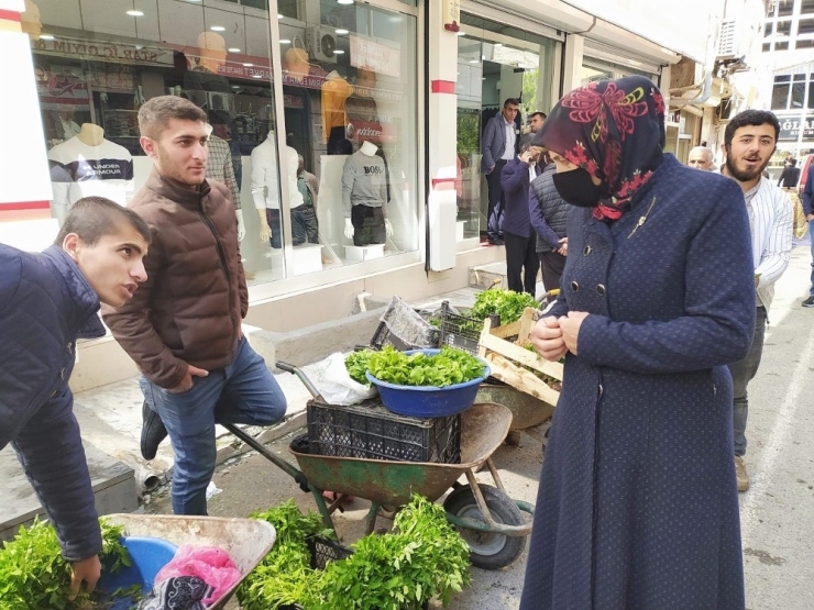 Silvan’da Sebze Fideleri Satışı Başladı