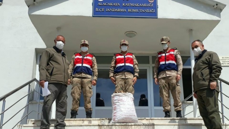 Kaçak Salep Soğanı Toplayanlara 153 Bin Tl Ceza Kesildi