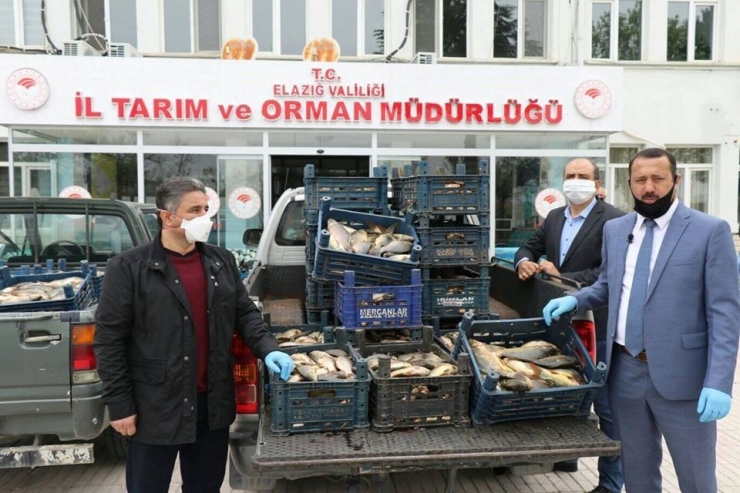 Kaçak Avlanan 700 Kilo Balık Ele Geçirildi