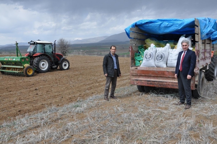 Gümüşhane’de Üreticilere 160 Ton Yem Bitkisi Tohumu Dağıtıldı
