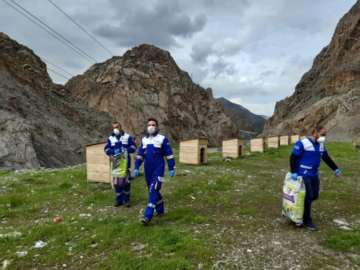 Hakkari’de Sokak Hayvanları Unutulmadı
