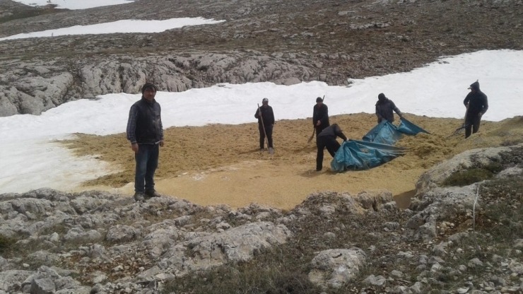 Ağustosa Kadar Erimeden Kar Saklamanın Yöntemi: "Kürtük"