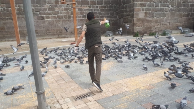 Doğa Koruma Ve Milli Parklar Müdürlüğü Hayvanları Unutmadı